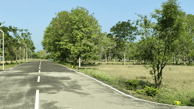 Thondamuthur Plot View 1