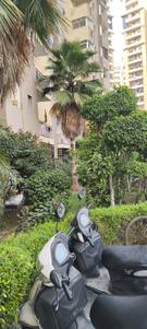 Image of 1300 Sq.ft 3 BHK Apartment / Flat for sale in Paramount Floraville, Sector 137, Noida for Rs. 15000000