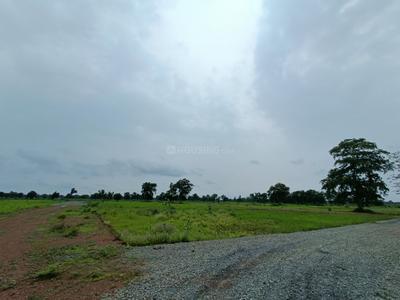 Image of 1250 Sq.ft 2 BHK Independent House for sale in Torwa, Bilaspur for Rs. 1718750