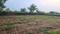 Laxmi vihar Plot View 2