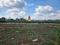 Perne Plot View 1