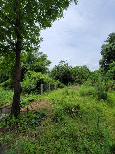 Rancharda Main Image 1