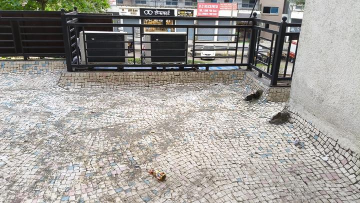 Shree Crest And Celestia Living Room 1