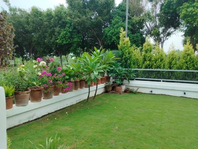 Image of 2709 Sq.ft Residential Plot / Land for sale in New Chandigarh, Chandigarh for Rs. 31000000