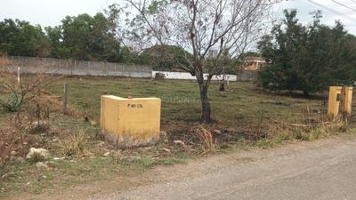 Srinivasa Nagar Plot View 1