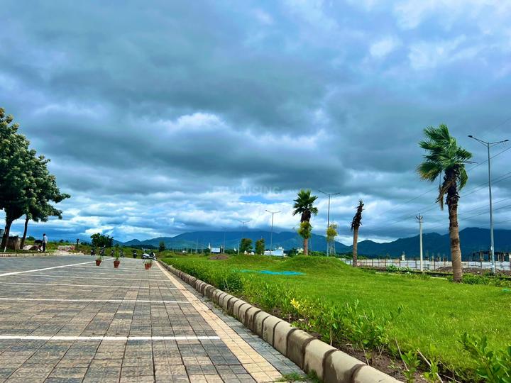 Sunlit Urbana Green City Main Image 1