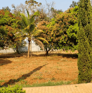 Image of 1810 Sq.ft Residential Plot / Land for sale in Kaggalahalli, Bengaluru for Rs. 8959500