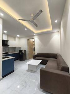 Hall Image of 1800 Sq.ft 3 BHK Builder Floor for rent in Saket New Delhi for Rs. 55000