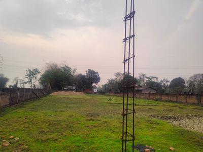 Demow Plot View 2