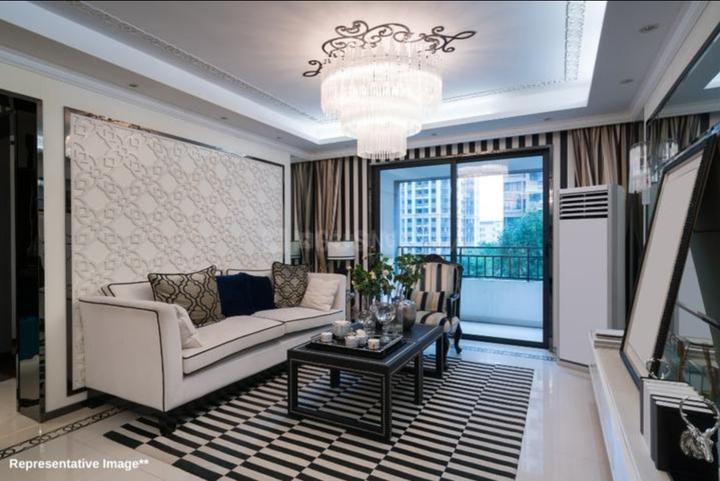 Ashar Pulse Main Image 1