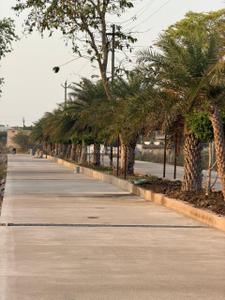 Image of 1152 Sq.ft Residential Plot / Land for sale in Torwa, Bilaspur for Rs. 1584000