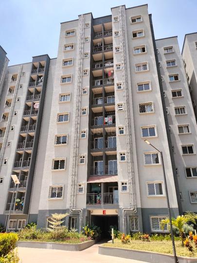 Bren Northern Lights Main Image 1