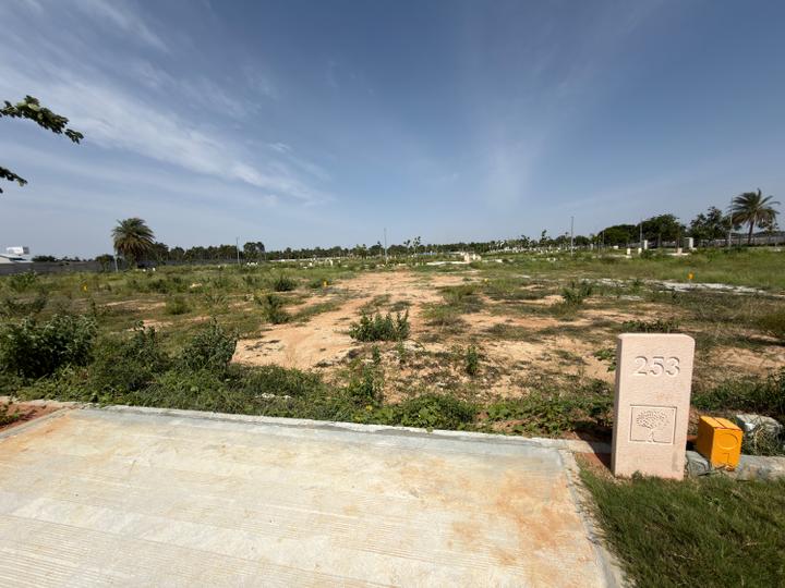 Arvind Orchards Main Image 1
