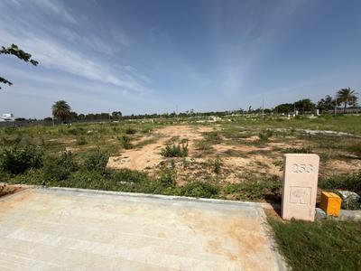 Arvind Orchards Main Image 1
