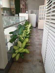 Balcony Image of 4400 Sq.ft 4 BHK Duplex for sale in Indiabulls Sky Forest A2, Parel Mumbai for Rs. 147500000