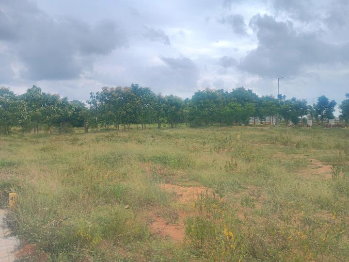 Tukkuguda Main Image 1