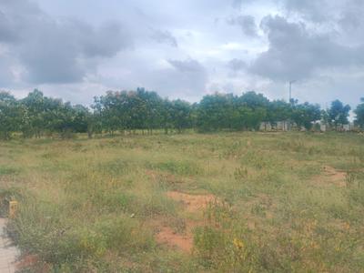 Tukkuguda Plot View 1