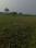 Project  Main Image 1