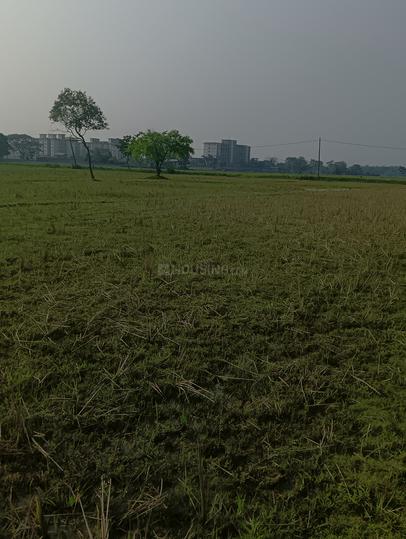 Project  Main Image 1