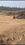 Hesal Main Image 1