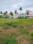 Sivaya Nagar Main Image 1
