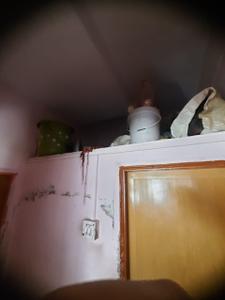 Bathroom Image of 727 Sq.ft 2 BHK Villa for sale in Pathardi Phata Nashik for Rs. 6000000