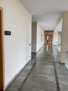 Hall Image of 1350 Sq.ft 2 BHK Apartment / Flat for rent in Paras Dews, Sector 106 Gurgaon for Rs. 36999