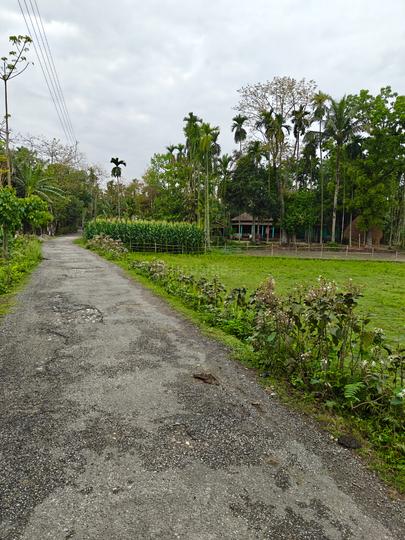 Morapora Main Image 1