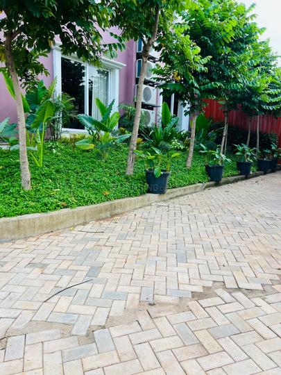 Tatibandh Main Image 1