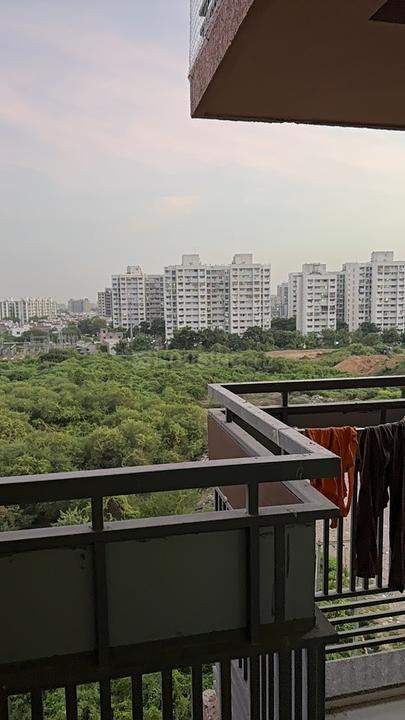 Karma Ananya Allium Main Image 1