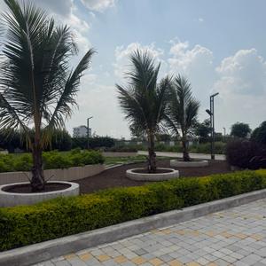 Kunj Vihar I Plot View 2