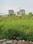 Patliputra Jyotipuram Main Image 1
