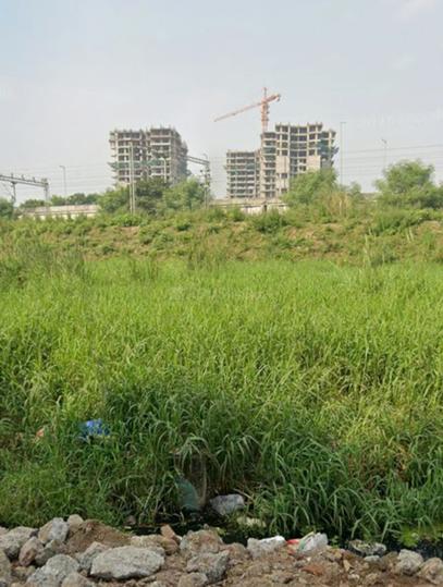 Patliputra Jyotipuram Main Image 1