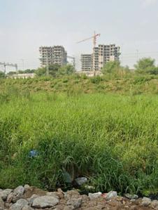 Patliputra Jyotipuram Plot View 1