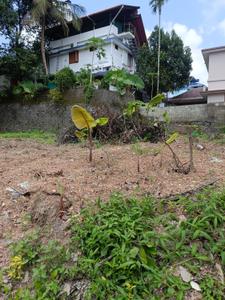 Chottanikkara Plot View 1