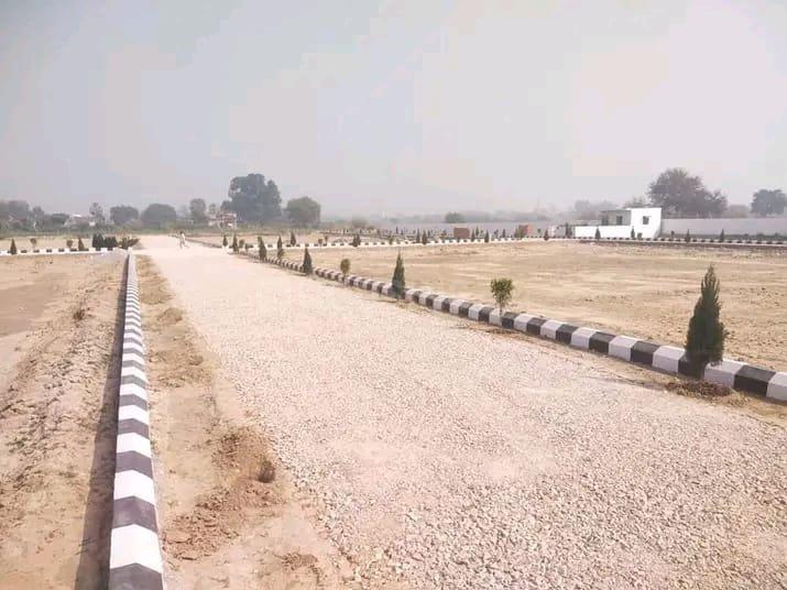 Hanging garden Ring Road kaudia Main Image 1