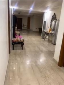 Hall Image of 4950 Sq.ft 4 BHK Builder Floor for rent in Vasant Kunj New Delhi for Rs. 225000