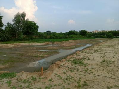 Residential Plot