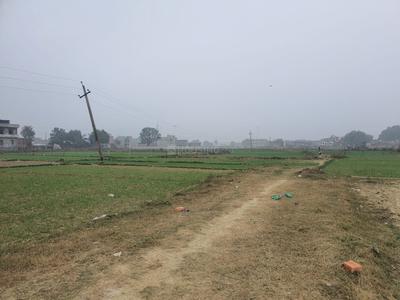 Image of 1360 Sq.ft Residential Plot / Land for sale in Ashapur, Pindra, Varanasi for Rs. 3500000
