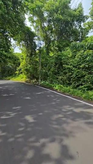 Residential plot in Corgao Main Image 1