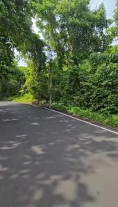 Residential plot in Corgao Plot View 1