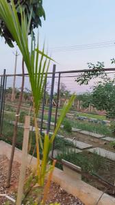 Image of 9400 Sq.ft Residential Plot / Land for sale in Tatibandh, Raipur for Rs. 4230008