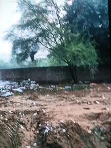 Residential Plot