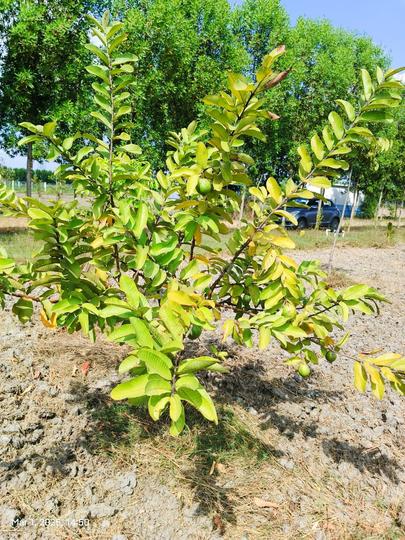 Madurantakam Main Image 1