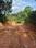 Kakkanad Plot View 2