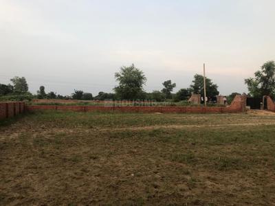 Residential Plot
