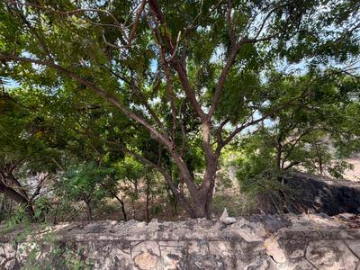 Image of 6000 Sq.ft Residential Plot / Land for sale in Injambakkam, Chennai for Rs. 100000000
