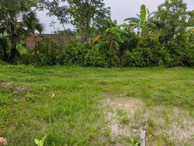 Golden city 2 Sonarpur plot Plot View 1