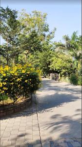 Bodakdev Plot View 3