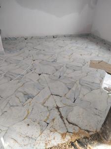 Bedroom Image of 1000 Sq.ft 2 BHK Builder Floor for rent in Pokhariput Bhubaneswar for Rs. 15000